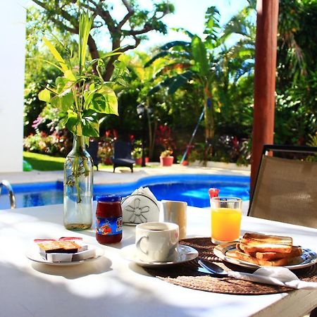 Green Oasis Home Boutique Playa del Carmen Exterior foto