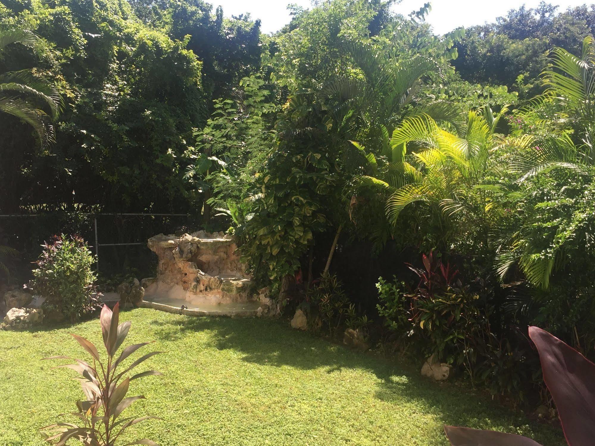 Green Oasis Home Boutique Playa del Carmen Exterior foto